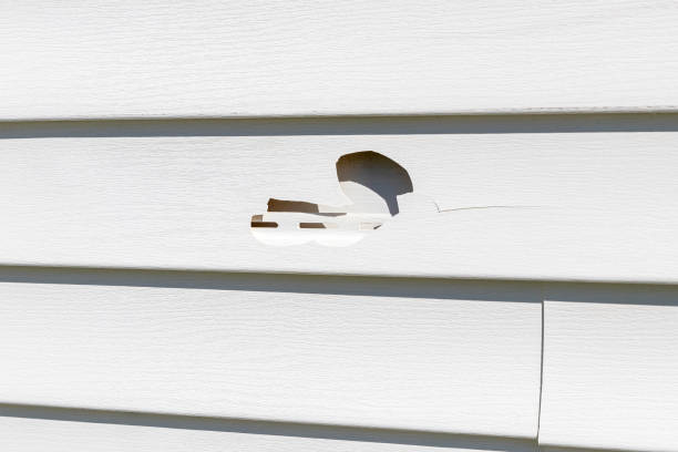 Affordable Siding Repair and Maintenance Services in Valley View, OH